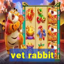 vet rabbit