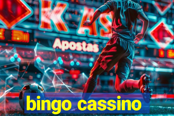 bingo cassino