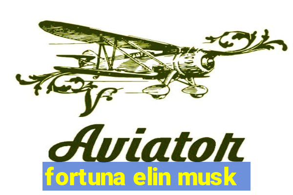 fortuna elin musk