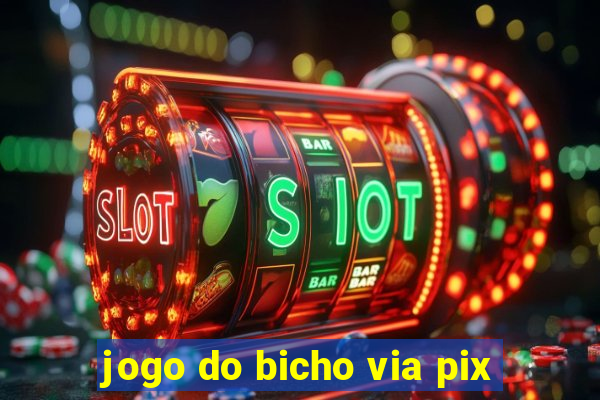 jogo do bicho via pix