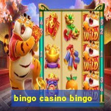 bingo casino bingo