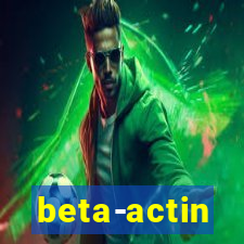 beta-actin