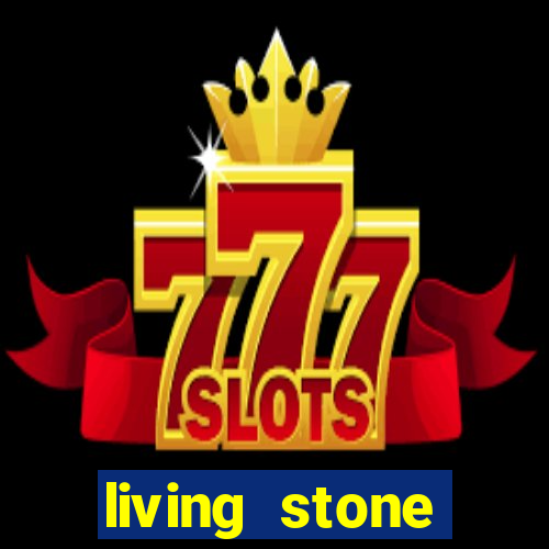 living stone network tv