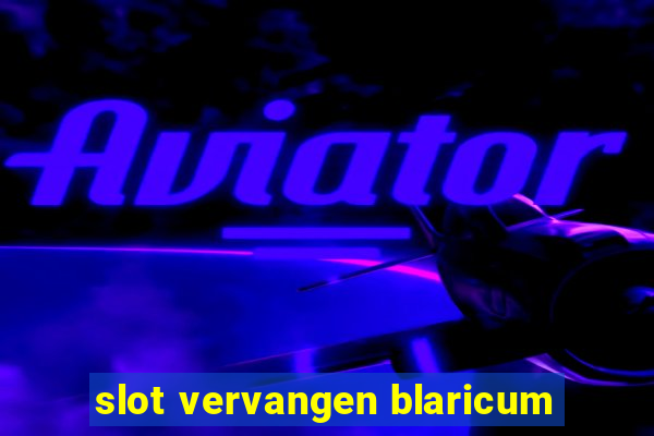 slot vervangen blaricum