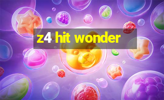 z4 hit wonder