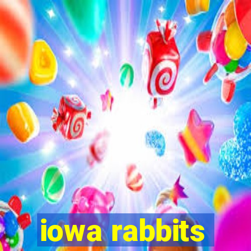 iowa rabbits