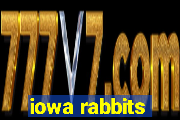 iowa rabbits