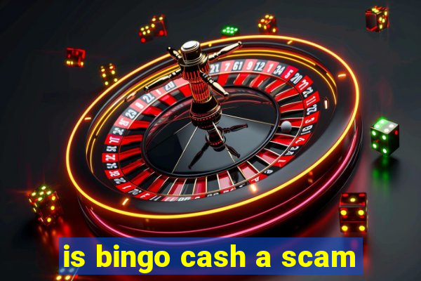 is bingo cash a scam