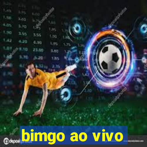 bimgo ao vivo