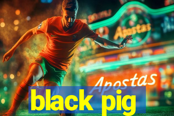 black pig