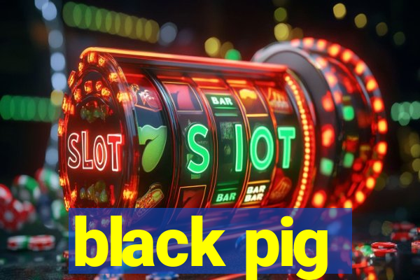 black pig