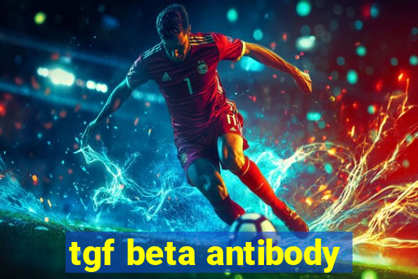 tgf beta antibody