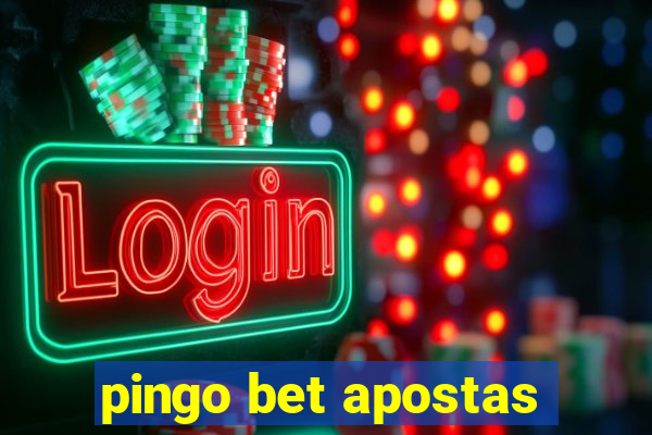 pingo bet apostas