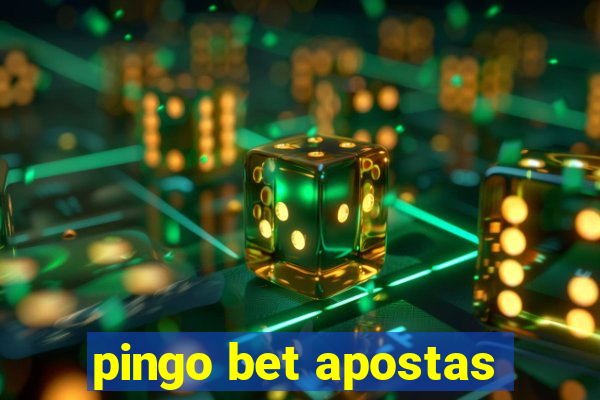 pingo bet apostas