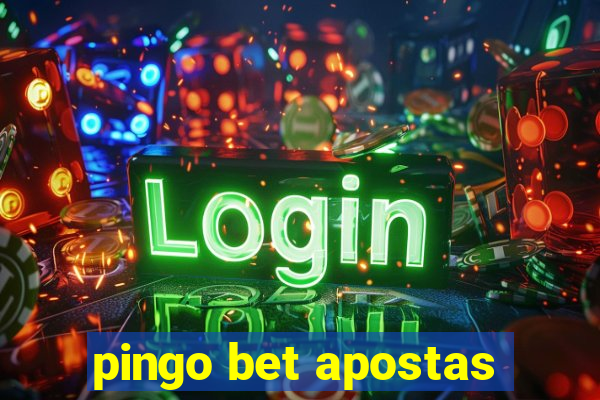 pingo bet apostas