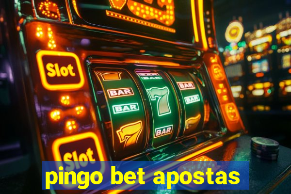 pingo bet apostas