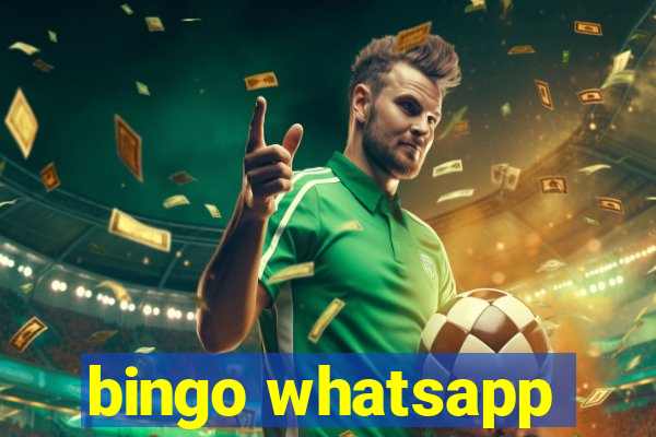 bingo whatsapp