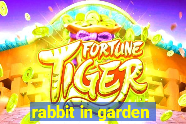 rabbit in garden