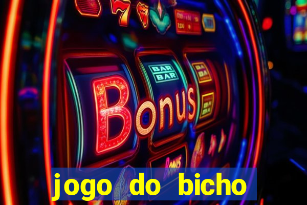 jogo do bicho crash bingo