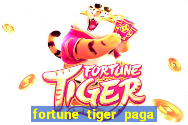 fortune tiger paga de madrugada