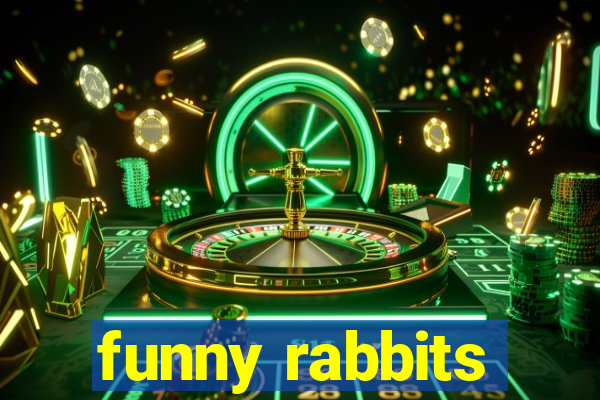 funny rabbits