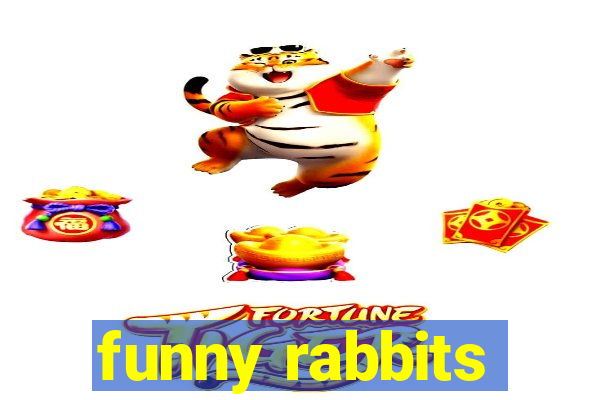 funny rabbits