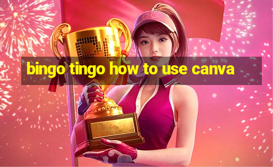 bingo tingo how to use canva