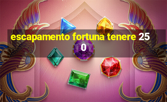 escapamento fortuna tenere 250