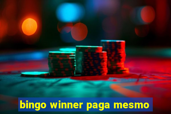 bingo winner paga mesmo