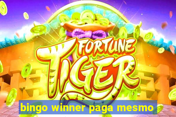 bingo winner paga mesmo