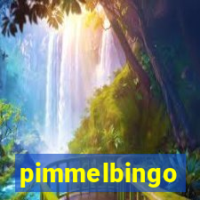 pimmelbingo