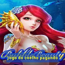 jogo do coelho pagando