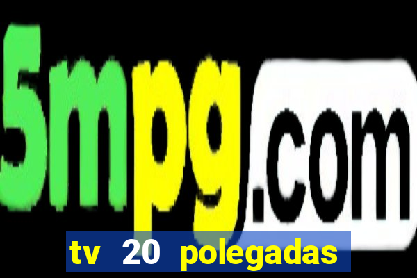 tv 20 polegadas casas bahia