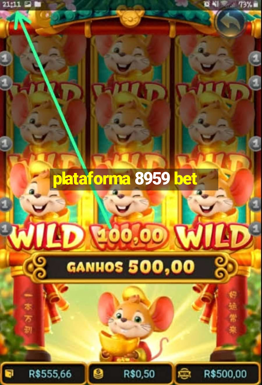 plataforma 8959 bet