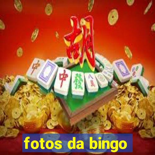 fotos da bingo