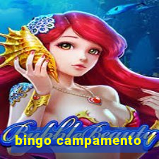 bingo campamento