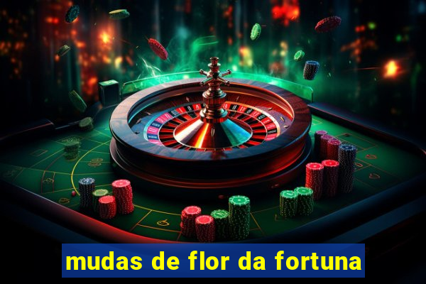 mudas de flor da fortuna