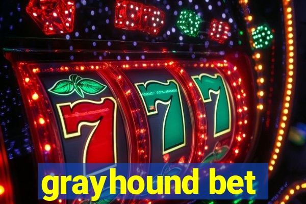 grayhound bet