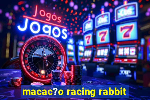 macac?o racing rabbit