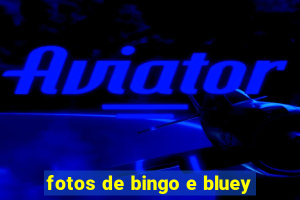 fotos de bingo e bluey