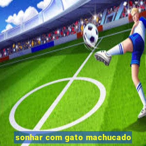 sonhar com gato machucado