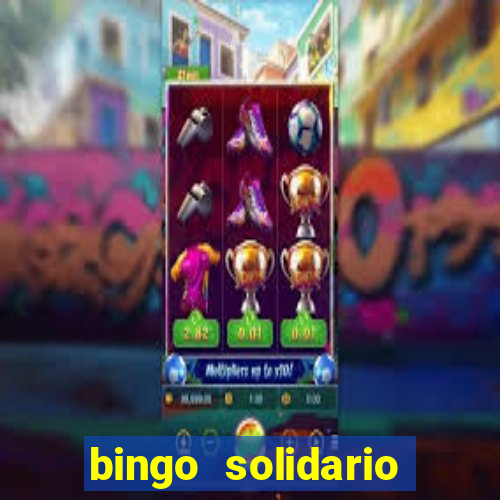 bingo solidario como organizar