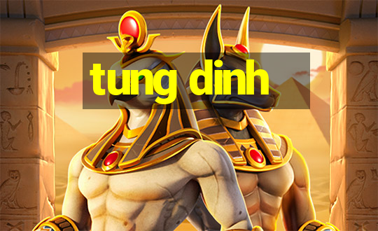 tung dinh