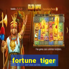 fortune tiger horários pagantes de madrugada