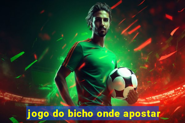 jogo do bicho onde apostar