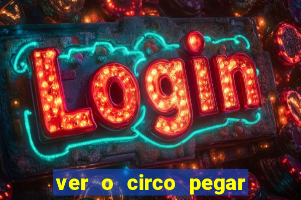 ver o circo pegar fogo significado