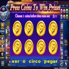 ver o circo pegar fogo significado