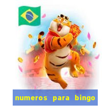 numeros para bingo de 1 a 100