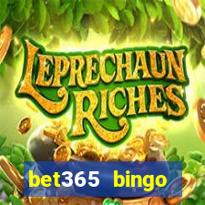 bet365 bingo android app