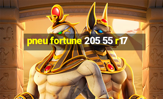 pneu fortune 205 55 r17